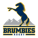 Brumbies